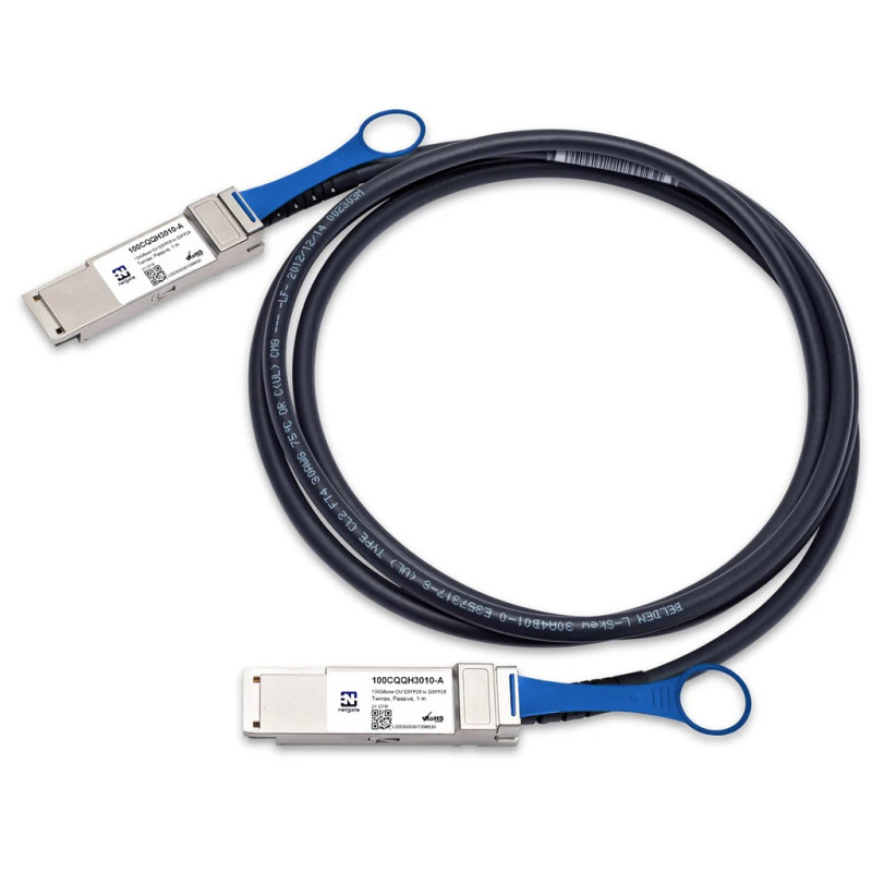 100G QSFP28 DAC Cable 3m | Passive Twinax 100GbE | Netgate & Intel Compatible
